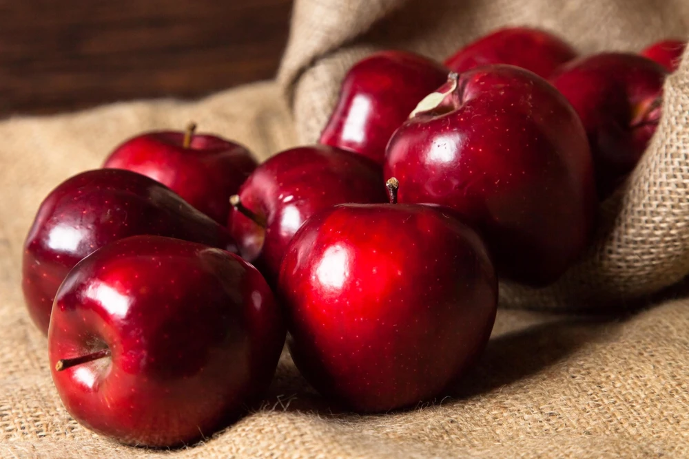 Paradise Apple Tree Seeds - Malus Pumila Domestica - 25 Seeds for Planting - Image 7