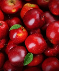 Paradise Apple Tree Seeds - Malus Pumila Domestica - 25 Seeds for Planting - Image 8
