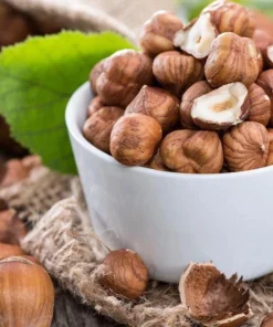 Pecan Nut Tree Live Plant – Gilbert Variety – 5 inch Pot – High-Yield Edible Pecans – Full Sun - Image 4