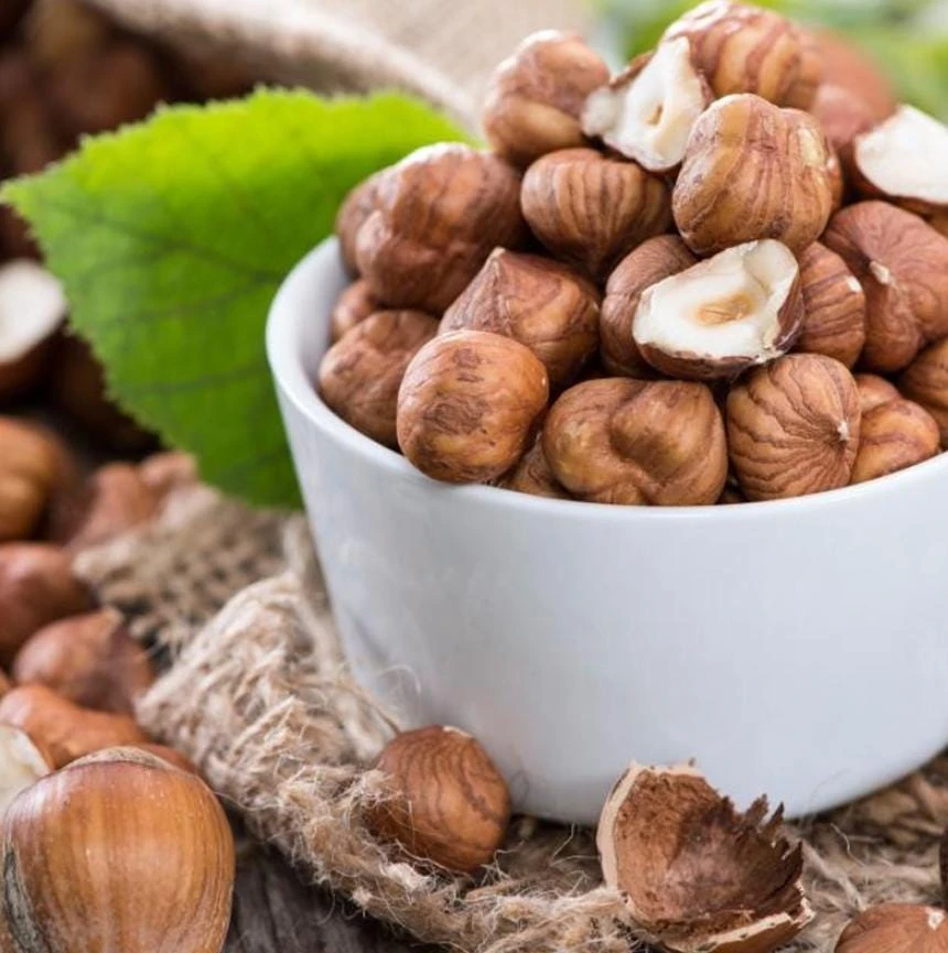 Pecan Nut Tree Live Plant – Gilbert Variety – 5 inch Pot – High-Yield Edible Pecans – Full Sun - Image 4
