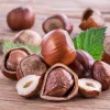Pecan Nut Tree Live Plant – Gilbert Variety – 5 inch Pot – High-Yield Edible Pecans – Full Sun - Image 1