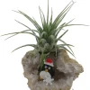 Penguin Christmas Geode with Tillandsia Air Plant - Live Plant Decor - Image 1