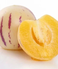 Pepino Melon Live Plant – Exotic Fruit – 4 inch Pot – Sweet Cucumber - Image 4