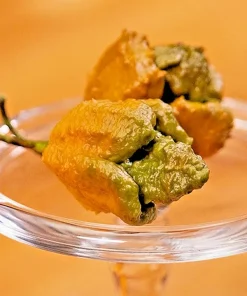 Pepper X Seeds - Extremely Spicy Chili Pepper Seeds - 25+ Seeds - Indoor/Outdoor - Image 1
