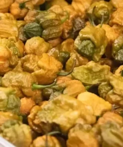Pepper X Seeds - Extremely Spicy Chili Pepper Seeds - 25+ Seeds - Indoor/Outdoor - Image 3