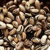 Peregion Bush Bean Seeds - Heirloom Semi-Climber Green Snap Beans - 25 Seeds - Image 1
