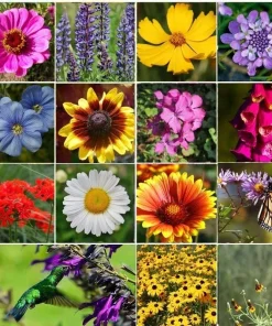 Perennial Wildflower Seed Mix - 1200+ Heirloom Seeds, Pollinator Food, Multicolor Outdoor - Image 1