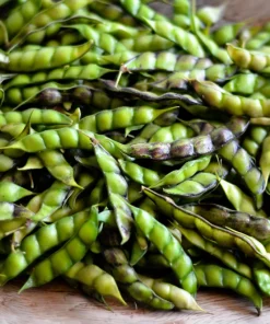 Pigeon Pea Seeds - 30 Count Cajanus Cajan Vegetable Seeds for Planting - Image 2