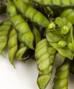 Pigeon Pea Seeds - 30 Count Cajanus Cajan Vegetable Seeds for Planting - Image 6