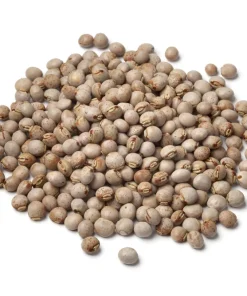 Pigeon Pea Seeds - 30 Count Cajanus Cajan Vegetable Seeds for Planting - Image 8