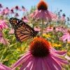 Pink Baby Coneflower Seeds - Echinacea Pallida Flower Seeds - 50 Seeds - Image 1