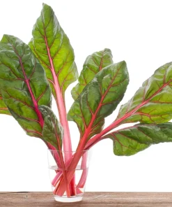 Pink Flamingo Swiss Chard Seeds - Beta Vulgaris Vegetable Seed Packet - Image 5