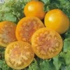 Pink Grapefruit Tomato Seeds - 15 Seeds - Yellow Skin, Low Acid - Image 1