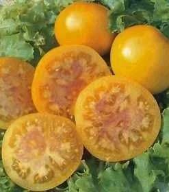 Pink Grapefruit Tomato Seeds - 15 Seeds - Yellow Skin, Low Acid - Image 1