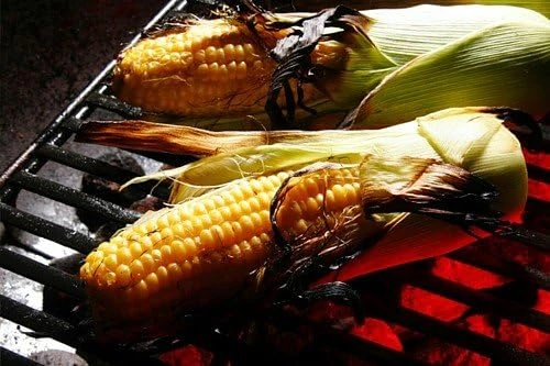 Providence Bicolor Sweet Corn Seeds - 100 Seeds for Grilling & Home Gardens - Image 1