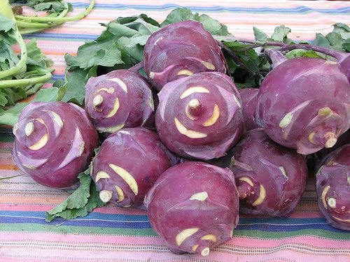Purple Kohlrabi Seeds - 2 Grams - Heirloom Vegetable for Gardens - Image 1
