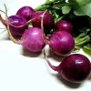 Purple Plum Radish Seeds - 50 Count - Crisp, Colorful & Easy to Grow - Image 1