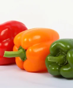 Rainbow Bell Pepper Seeds - Sweet Capsicum Annuum Mix - 150 Seeds - Image 7