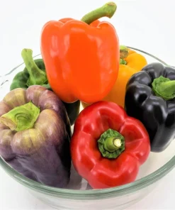 Rainbow Bell Pepper Seeds - Sweet Capsicum Annuum Mix - 150 Seeds - Image 8