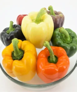 Rainbow Bell Pepper Seeds - Sweet Capsicum Annuum Mix - 150 Seeds - Image 9