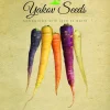 Rainbow Blend Carrot Seeds - 100 Count for Colorful Garden Harvest - Image 1