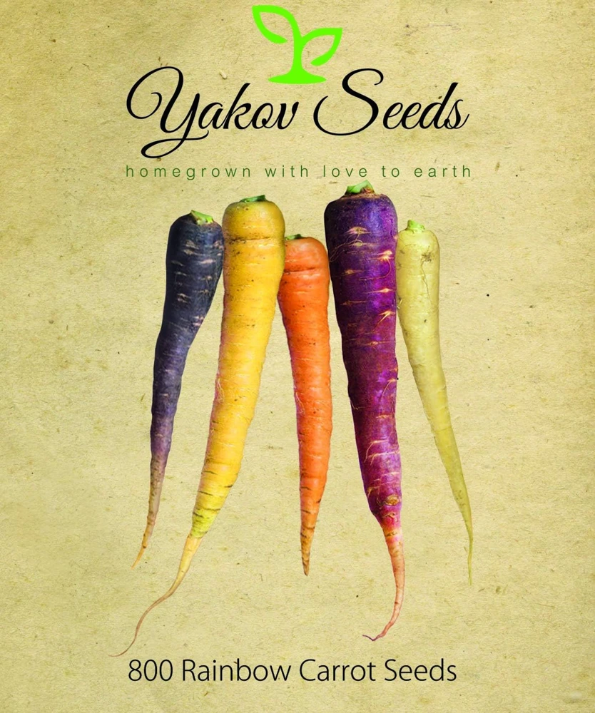 Rainbow Blend Carrot Seeds - 100 Count for Colorful Garden Harvest - Image 1