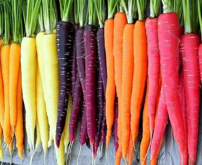 Rainbow Blend Carrot Seeds - Heirloom, Non-GMO Vegetable Seeds for Gardens - Image 1