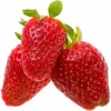 Rainbow Treasure F1 Alpine Strawberry Seeds - 50 Count - Runnerless, Edible Berries - Image 1