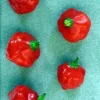 Red Cap Mushroom Pepper Seeds - 15 Count, Very Hot, 75-80 Day Maturity - Image 1