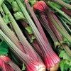 Red Celery Seeds - 200 Heirloom Seeds for Garden Planting - Image 1