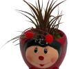 Red Ceramic Ladybug Planter with Live Air Plant Tillandsia - 3 Inch Pot Indoor Decor - Image 1