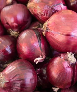 Red Creole Onion Seeds - 250 Spicy Cajun Short Day Allium Cepa Vegetable Seeds - Image 3
