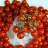 Red Currant Tomato Seeds - Heirloom Tart/Sweet Variety - 30 Seeds - Image 1