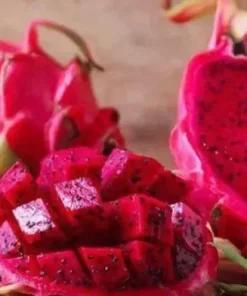 Red Dragon Fruit Seeds Pitaya Pitahaya Hylocereus Undatus Cactus 25+ Seeds - Image 1