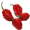 Red Habanero Pepper Seeds - Extremely Hot - 20 Seeds Pack for Planting - Image 1