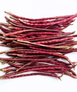 Red Noodle Bean Seeds - 25 Heirloom Yard Long Asparagus Bean Seeds for Planting - Image 7
