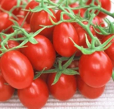 Red Plum Tomato Seeds - Heirloom, Indeterminate, 30 Seeds - Image 1