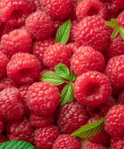 Red Raspberry Seeds - Rubus Idaeus - 100 Count - Fruit Bush Vine - Image 1