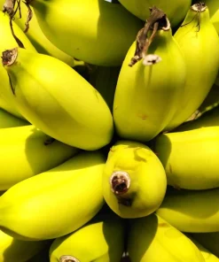 Red Tiger Banana Seeds - Hardy Musa Sikkimensis Fruit Tree - 5 Seeds - Image 2