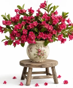 Red Weigela Live Plant - Blooming Shrub for Outdoor Gardening - 6-12 Inch Tall, Quart Pot - Image 1