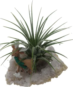 Reindeer Geode with Live Air Plant - Tillandsia - Unique Home Decor - Image 2
