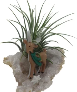 Reindeer Geode with Live Air Plant - Tillandsia - Unique Home Decor - Image 3