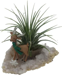 Reindeer Geode with Live Air Plant - Tillandsia - Unique Home Decor - Image 1