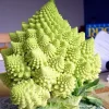 Romanesco Broccoli Seeds - 50 Heirloom Vegetable Seeds for Planting - Image 1