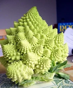Romanesco Broccoli Seeds - 50 Heirloom Vegetable Seeds for Planting - Image 1