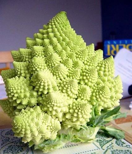Romanesco Broccoli Seeds - 50 Heirloom Vegetable Seeds for Planting - Image 1