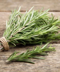 Rosemary Seeds - Rosmarinus Officinalis Herb Seeds - 100 Count Pack - Image 7