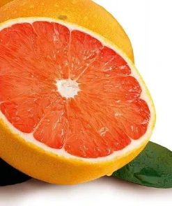 Ruby Red Grapefruit Tree Live Plant - 4x12 Grower Pot - Indoor/Outdoor Fruit - Image 3