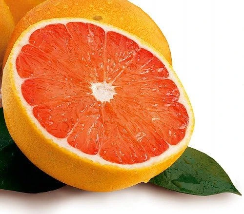 Ruby Red Grapefruit Tree Live Plant - 4x12 Grower Pot - Indoor/Outdoor Fruit - Image 3