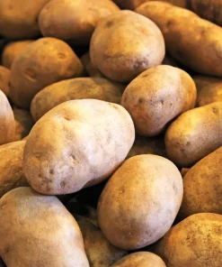 Russet Burbank Seed Potatoes 1lb - USDA Certified for Planting, Edible, Easy Grow - Image 1